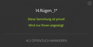 Lightroom Website